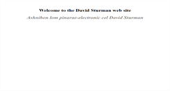 Desktop Screenshot of dsturman.com